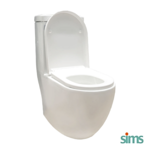 a one piece toilet bowl