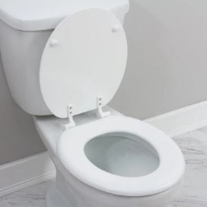 a round toilet bowl
